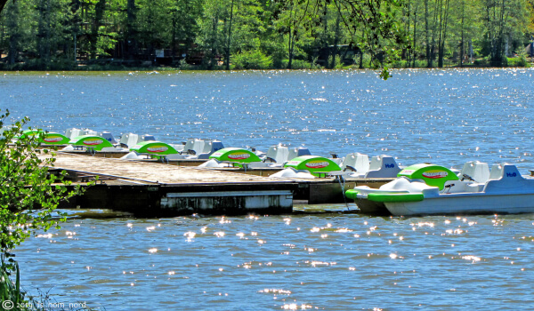 PETERS - Bootsverleih am Jägersburger Weiher